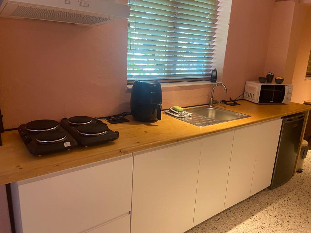 Kuchyň nebo kuchyňský kout v ubytování Guesthouse Sprinysem