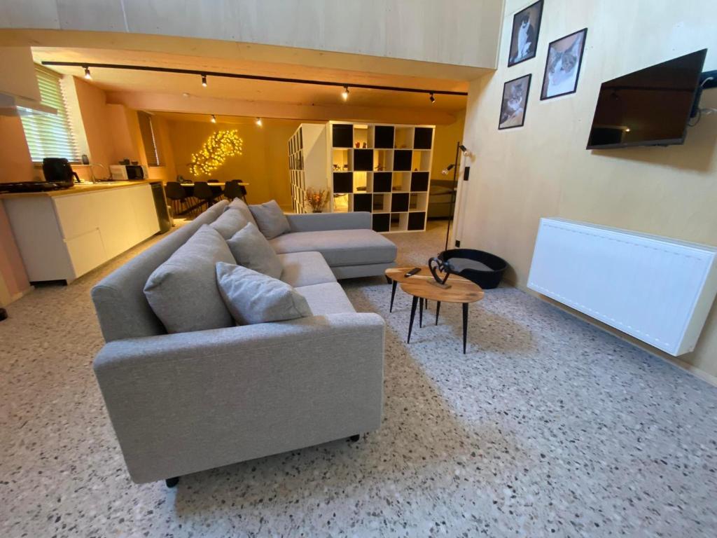Posezení v ubytování Guesthouse Sprinysem