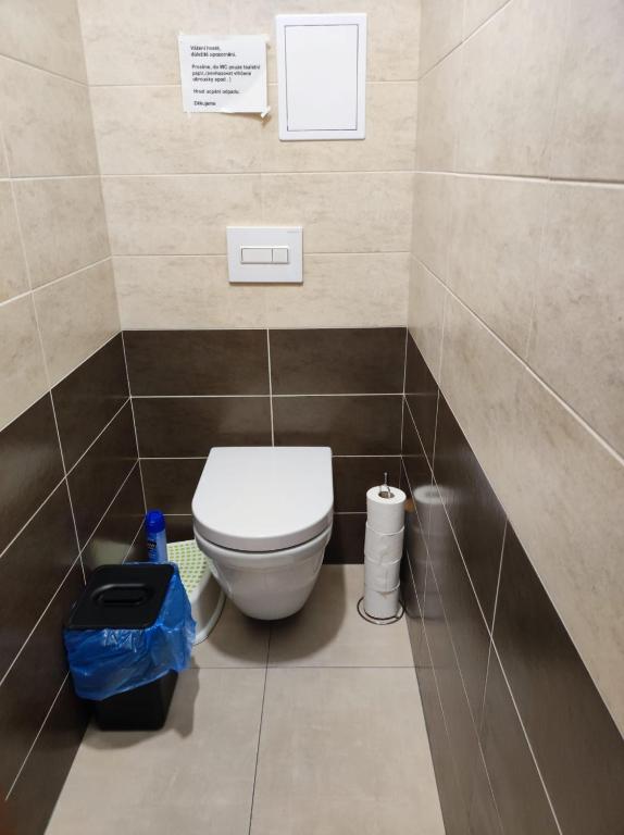 Koupelna v ubytování Apartmán Pivoňka