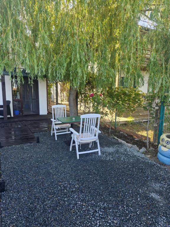 Zahrada ubytování Casa Donau Beach