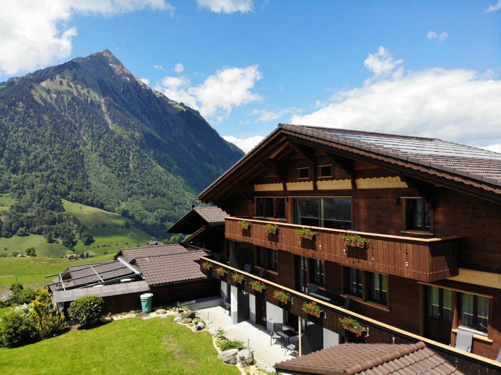 Příroda nedaleko hotelu
