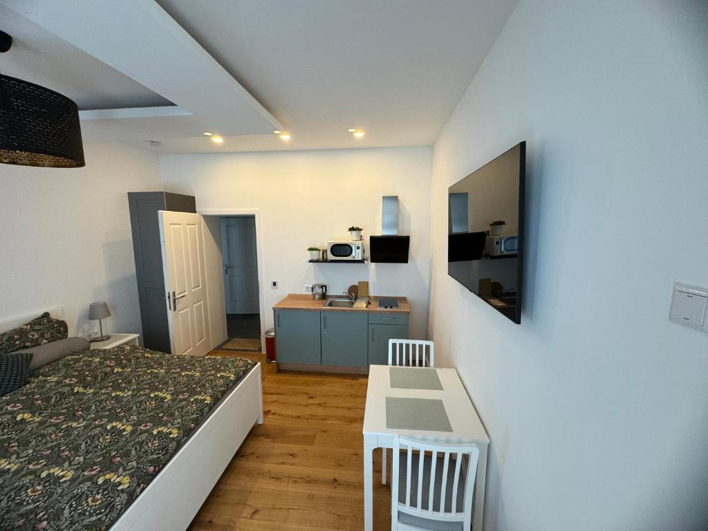 TV a/nebo společenská místnost v ubytování Boutique Hotel Pension Luisengrün Küche 1Gbs WLAN Netflix Disney MagentaTV