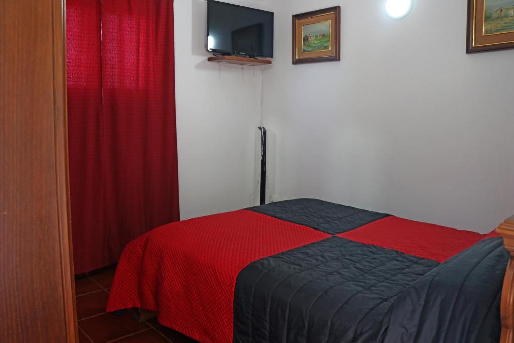 a bedroom with a bed with a red blanket and a tv at Casa do Monte 2 in Castro Daire