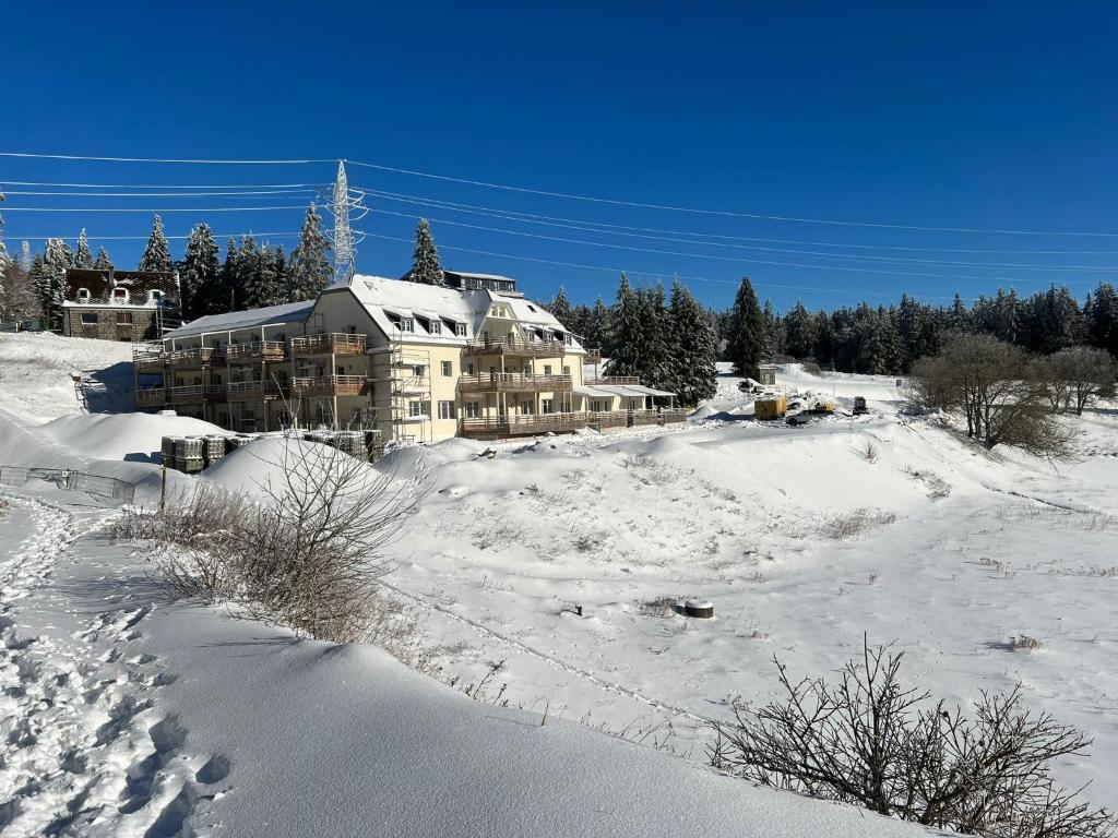 ein großes Haus im Schnee mit schneebedecktem Boden in der Unterkunft Appartement avec vue et grande terrasse de 60m2 in Orbey
