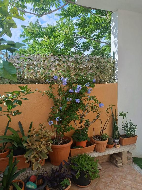 Zahrada ubytování B&B Beranu