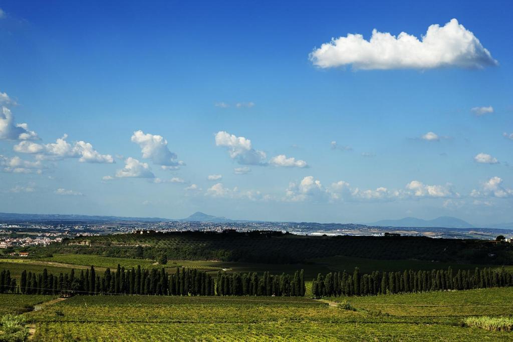 a view of a green field with trees on a hill at Merumalia Wine Resort in Frascati
