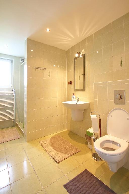 Koupelna v ubytování Apartmány HABURA