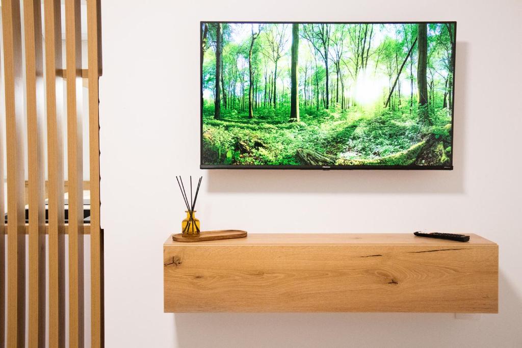 a television on a wall with a picture of a forest at Tamara in Trebinje