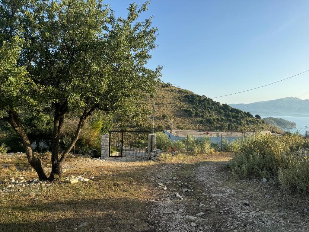 a tree on the side of a dirt road at Vila Bedro in Sarandë