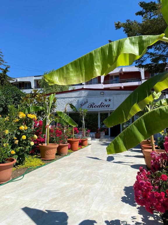 Zahrada ubytování Hotel Rodica