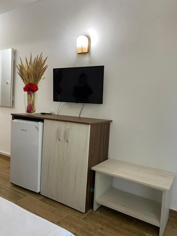 TV a/nebo společenská místnost v ubytování Hotel Rodica