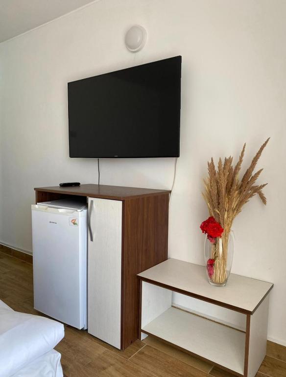 TV a/nebo společenská místnost v ubytování Hotel Rodica