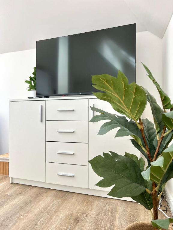 TV a/nebo společenská místnost v ubytování Treetess City Centre Prague Apartments