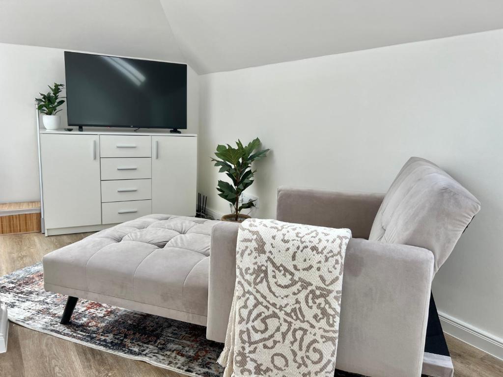 TV a/nebo společenská místnost v ubytování Treetess City Centre Prague Apartments