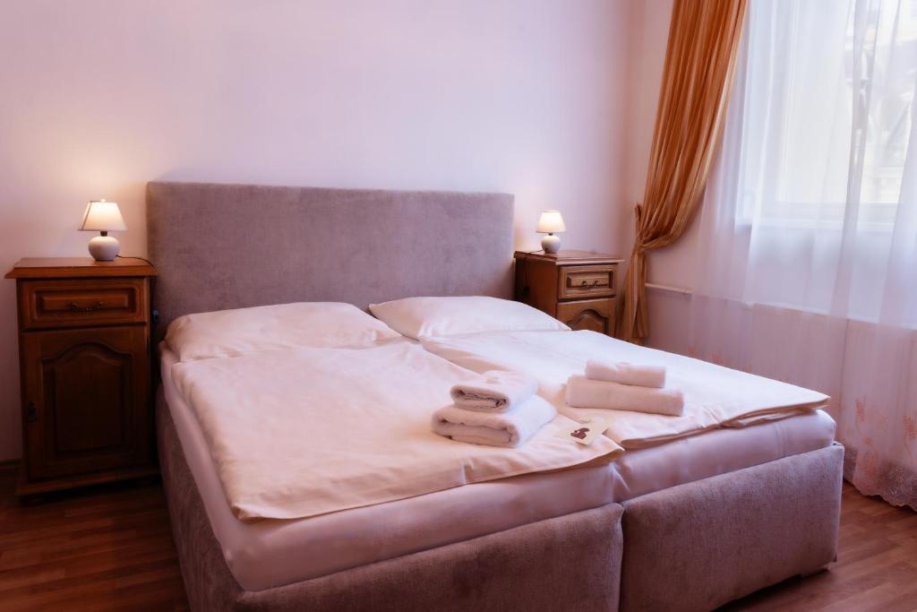 Postel nebo postele na pokoji v ubytování Hotel Praga