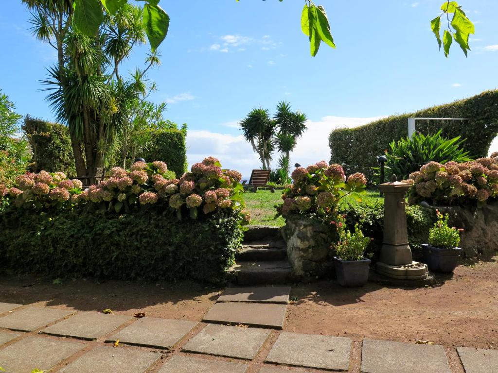 a garden with pink flowers and bushes and palm trees at Quinta das Buganvílias in Castelo Branco