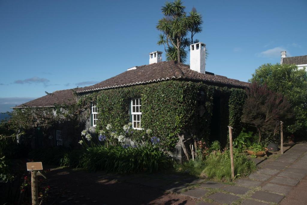 a house covered in ivy with a palm tree on top at Quinta das Buganvílias in Castelo Branco