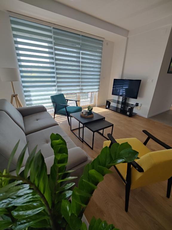 TV a/nebo společenská místnost v ubytování Sunflower Apartments