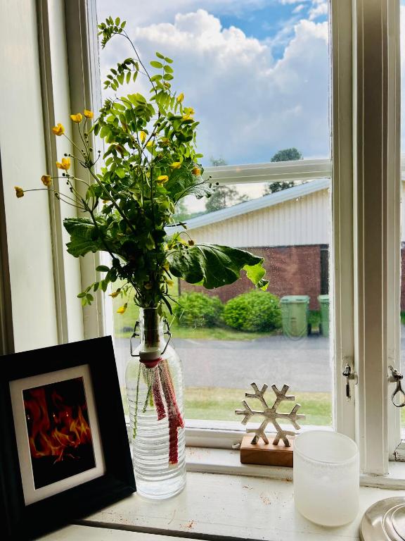 Balkón nebo terasa v ubytování Lapland Lodge