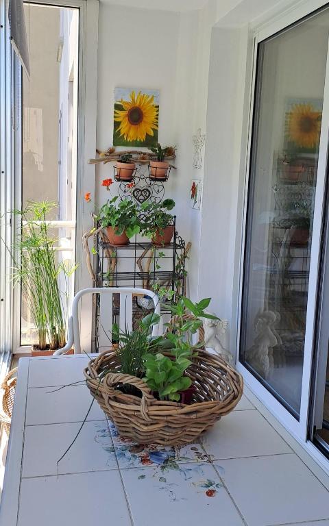 un panier rempli de plantes posé sur un porche dans l'établissement A 800 m de la grande plage et du centre ville, à Biarritz