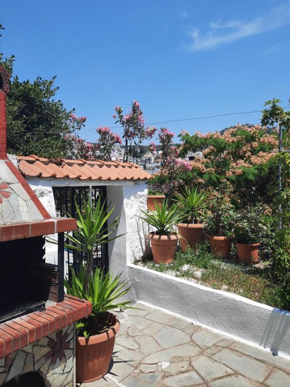 Vasilis Garden House