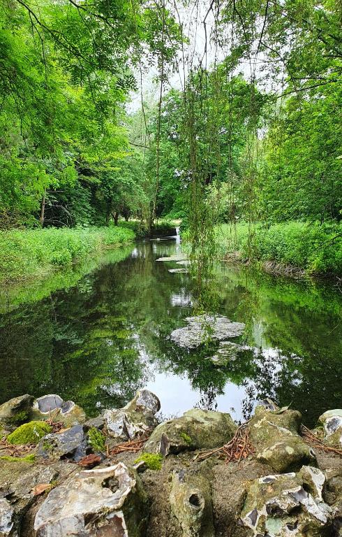 a river with rocks and trees in a forest at The Homestay in High Wycombe