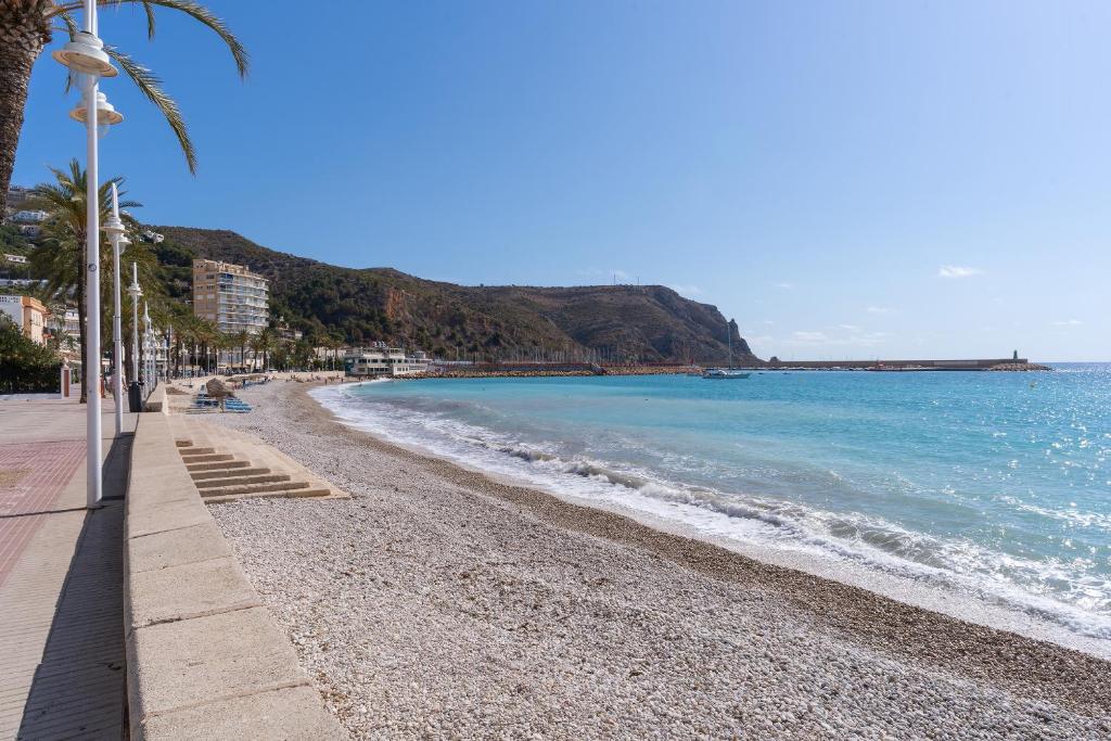 a beach with a palm tree and the ocean at casa en puerto javea in Jávea