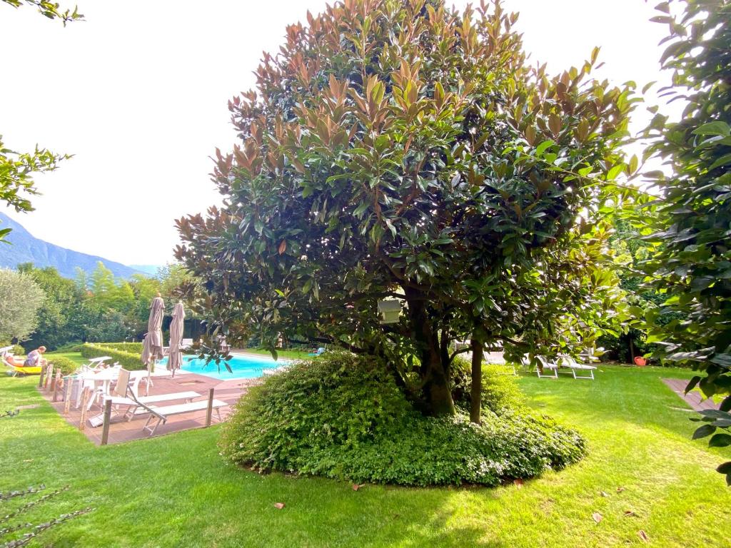 Zahrada ubytování Ibiscus lago di Como