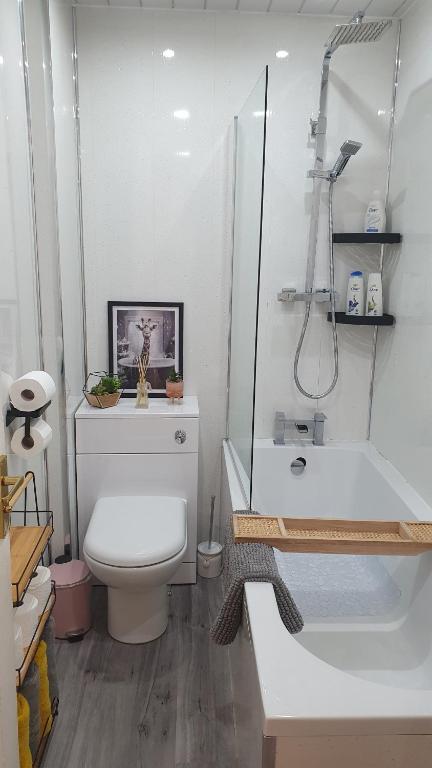 Un baño de Beautiful Ground Floor Flat near Haymarket