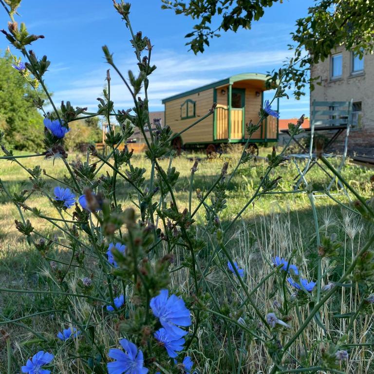 Zauberwagen am Geiseltalsee, Stöbnitz (updated prices 2025)