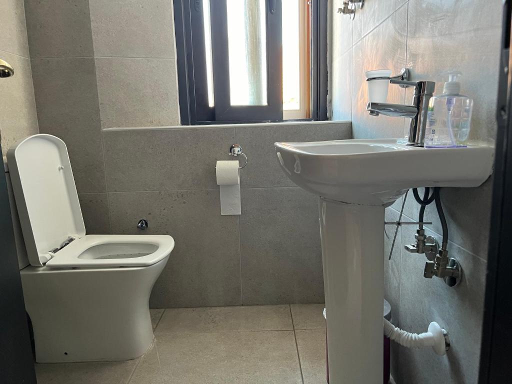 A bathroom at Kriopigi dimis and efis 1
