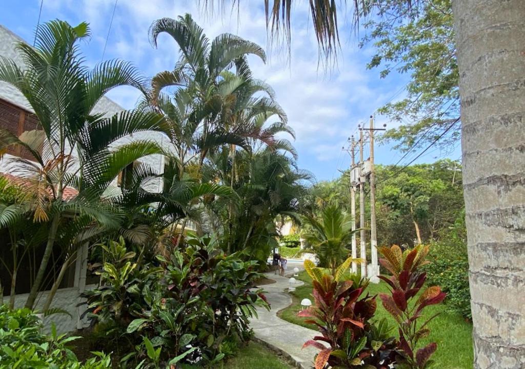 Zahrada ubytování Hermosa casa frente a la playa