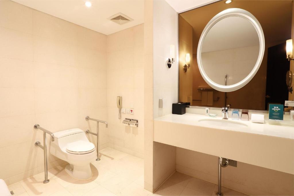 Holiday Inn Shanghai Pudong Nanpu, an IHG Hotel - 带有移动性的双人房间可访问淋浴