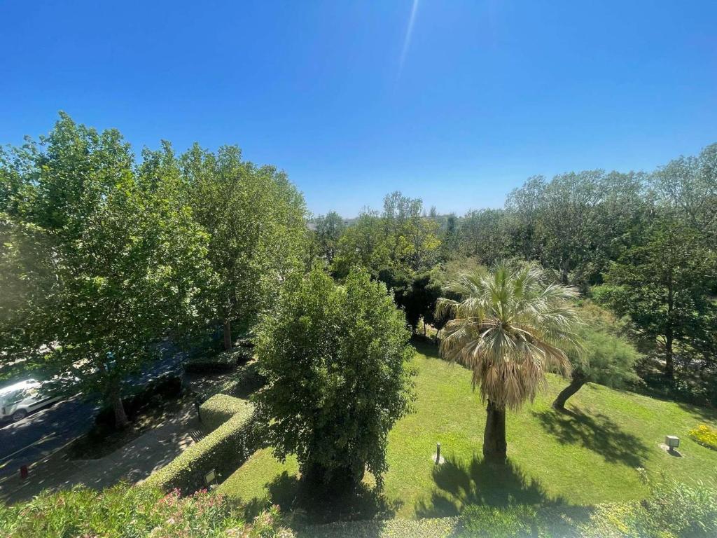 un jardin avec un palmier et quelques arbres dans l'établissement Studio rénové avec loggia, parking privé et proche plage - Quartier calme - FR-1-328-267, à La Grande Motte