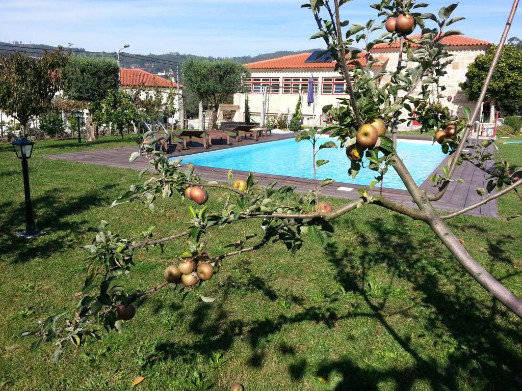 un albero di mele di fronte alla piscina di Quinta da Cardal a Vila Verde