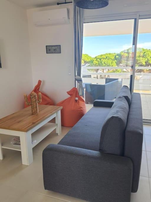 un salon avec un canapé et une table dans l'établissement Appartement T3 Port-Leucate entre plage et port, à Port-Leucate