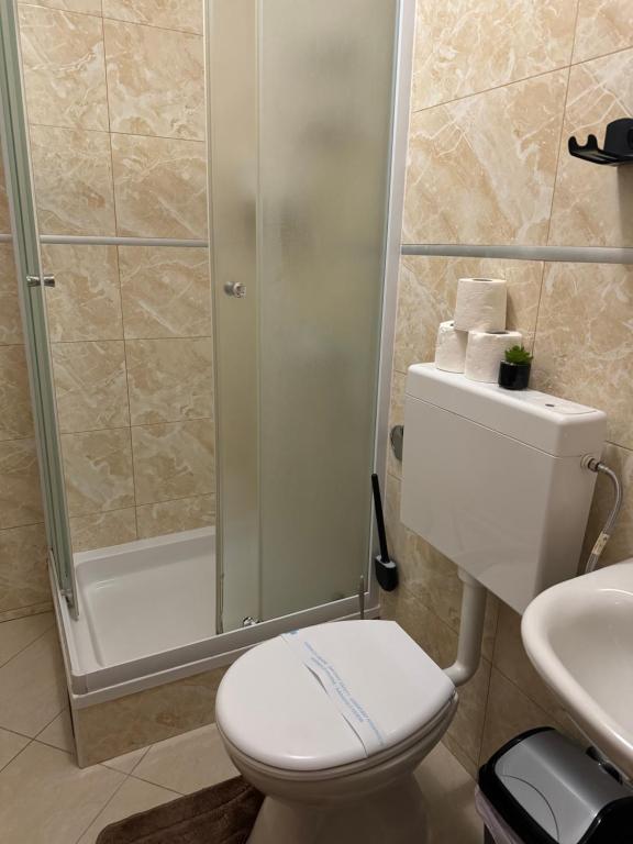a bathroom with a toilet and a shower and a sink at Apartmani Luciano in Novalja
