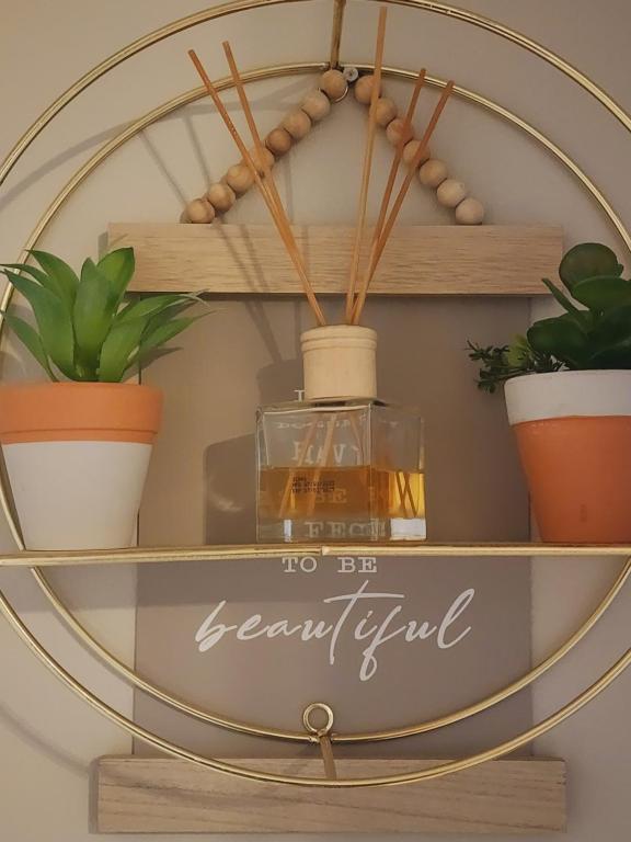 Un espejo en un estante con plantas en macetas. en Sable woods, en Pretoria