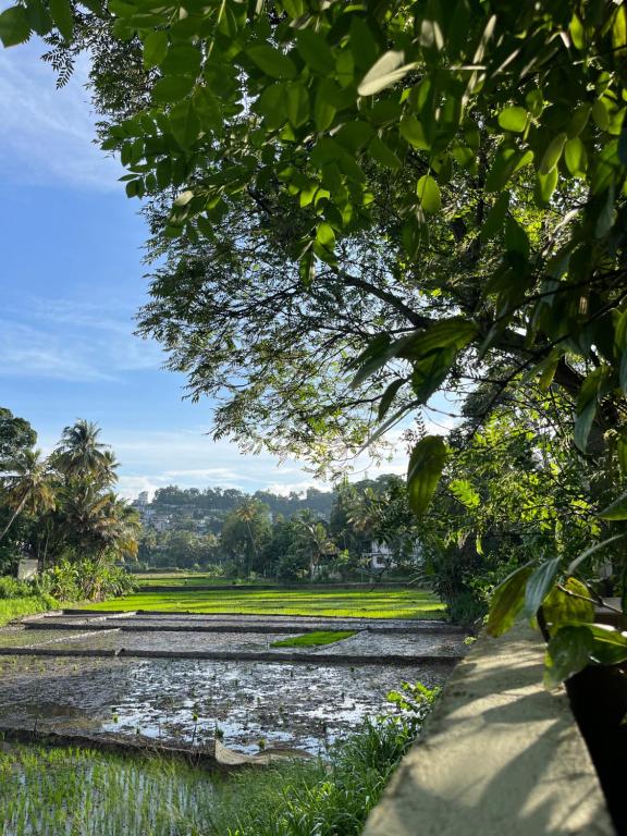 Kandy Living Homestay - 18