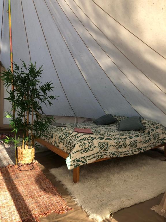 Fotografie z fotogalerie ubytování Lahemaa Glamping v destinaci Viinistu