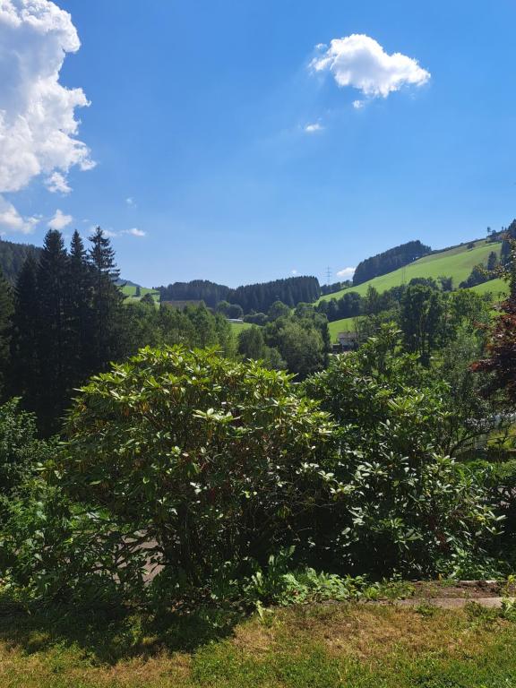 Fotografie z fotogalerie ubytování Baumgartner - Bauernhaus v destinaci Weißkirchen in Steiermark