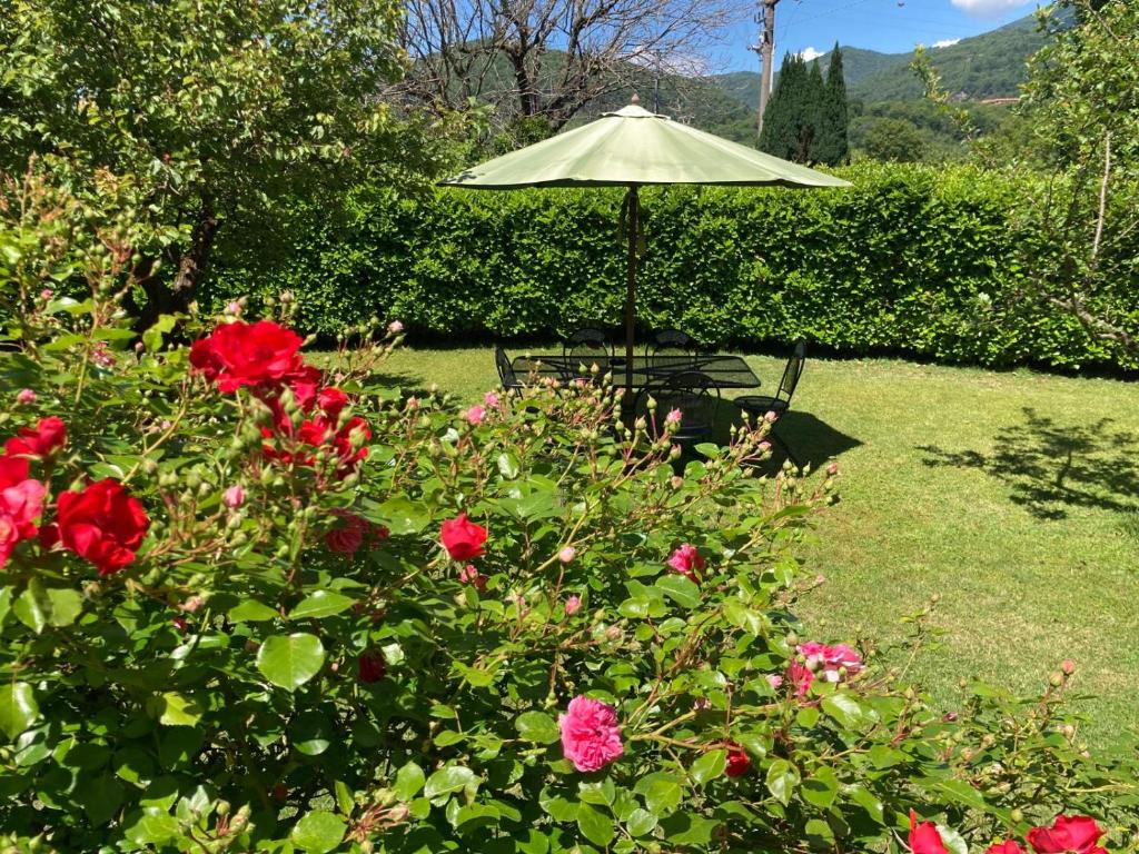 Galeriebild der Unterkunft La Ca del Bicc in Luino