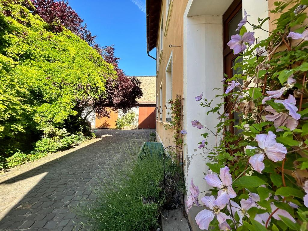 Φωτογραφία από το άλμπουμ του Ferienwohnung Amelie σε Alzey