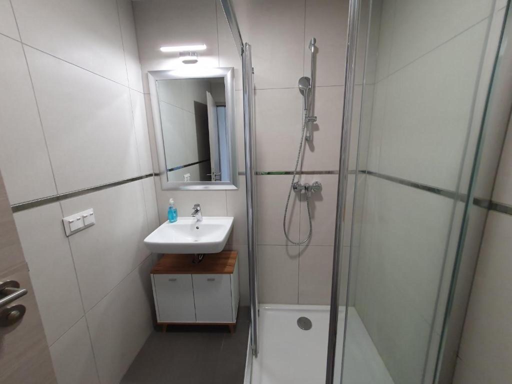 a bathroom with a sink and a shower with a mirror at Casa Romana Aqua Apartman in Siófok
