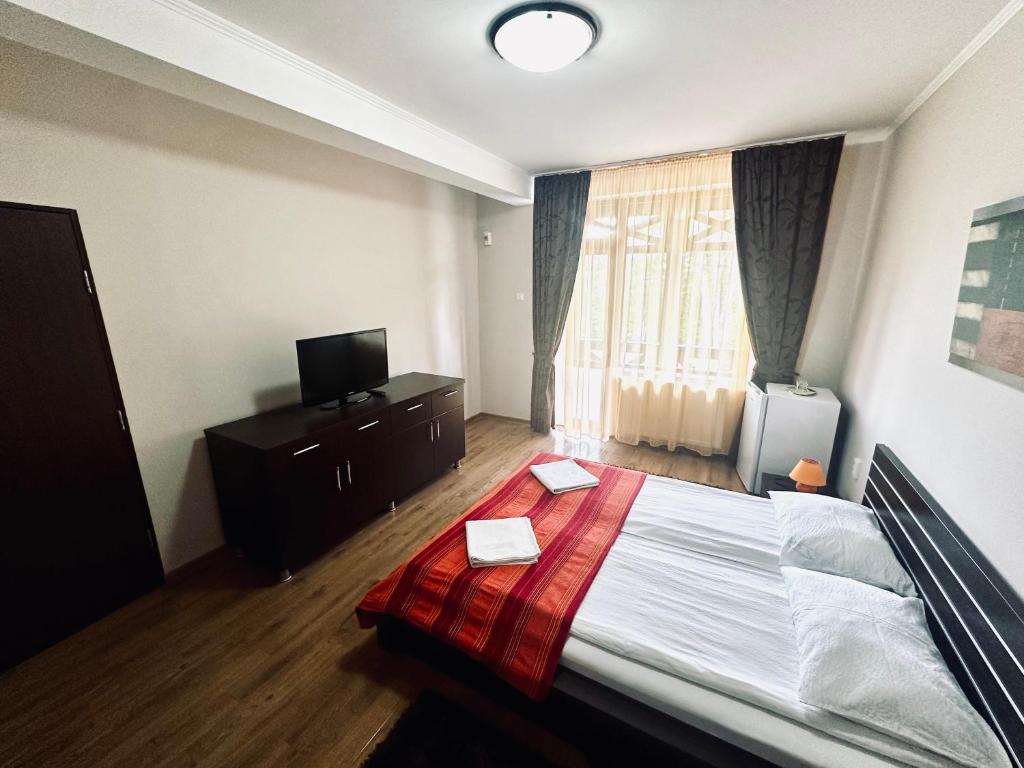 Postel nebo postele na pokoji v ubytování Pensiunea Amnesia