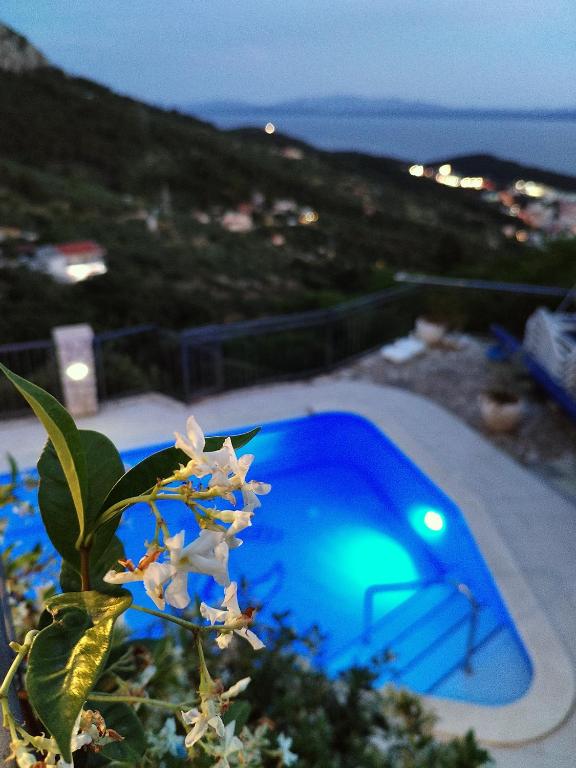 Bazén v ubytovaní Villa Bepo i Ivo alebo v jeho blízkosti
