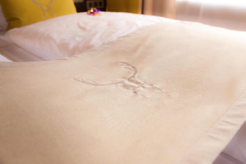 Hotel Platzhirsch - 9