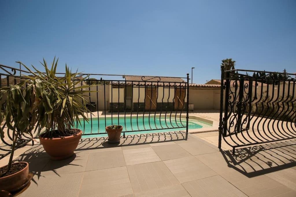 a swimming pool with potted plants next to a fence at Maison 4 chambres avec piscine in Saint-Gilles