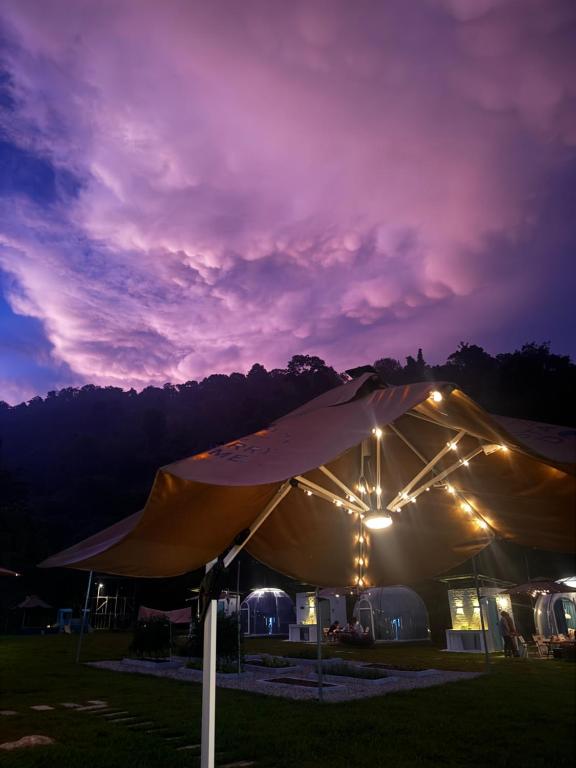Příroda nedaleko luxury tent