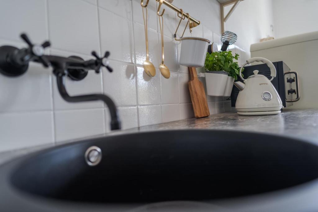 Kuchyň nebo kuchyňský kout v ubytování Velký apartmán V Pralese Šumava